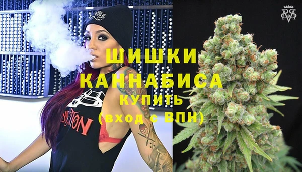 гидра Алексеевка